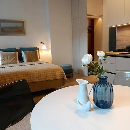 Apartment Opera With Air Conditioning In Location *