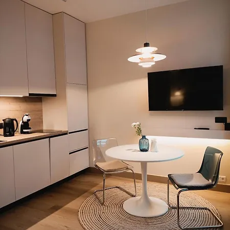 Opera With Air Conditioning In Location Apartment Riga